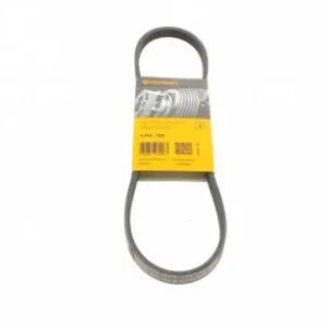 4PK790 Ремінь (поліклиновий) CONTI-V MULTIRIB ➤ (4PK790 / ContiTech)
