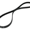 5PK1236 ELAST Ремінь (поліклиновий) CONTI-V MULTIRIB ➤ (5PK1236 ELAST / ContiTech)
