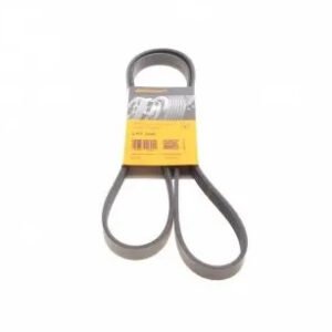 5PK1546 Ремінь (поліклиновий) CONTI-V MULTIRIB ➤ (5PK1546 / ContiTech)