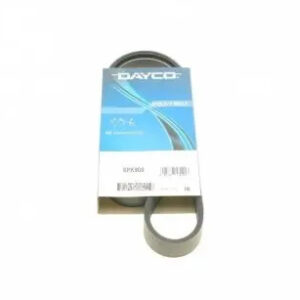 6PK906 DAYCO - Ремінь (поліклиновий) - (6PK906 / DAYCO)