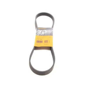 6PK955 Ремінь (поліклиновий) CONTI-V MULTIRIB ➤ (6PK955 / ContiTech)